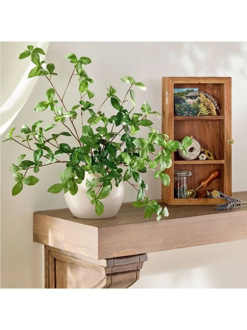 NEW! Hearth & Hand w/Magnolia ~ Wall Mounted Wood Display Box